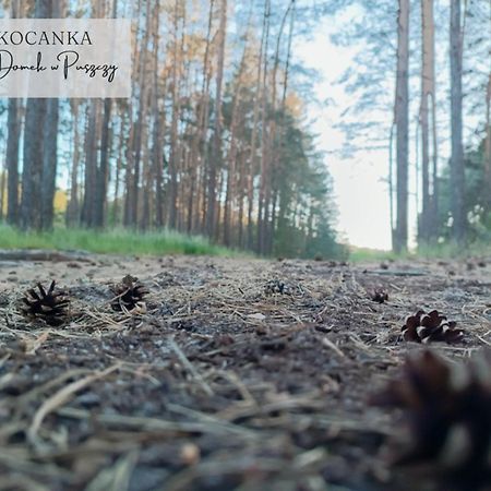 Domek W Puszczy ,,Kocanka" Mezyk Екстер'єр фото