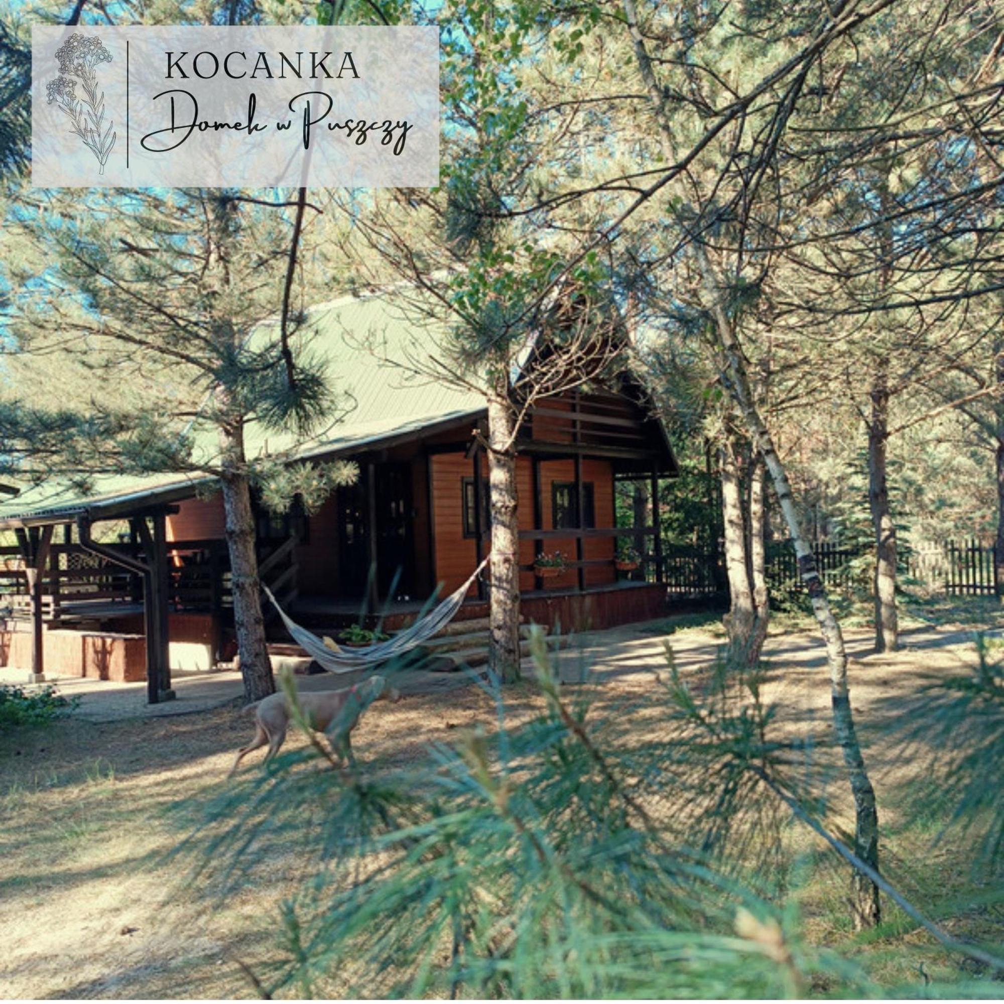 Domek W Puszczy ,,Kocanka" Mezyk Екстер'єр фото